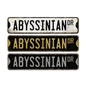 Abyssinian-Cat-Premium-Quality-Rustic-Metal-Sign-2