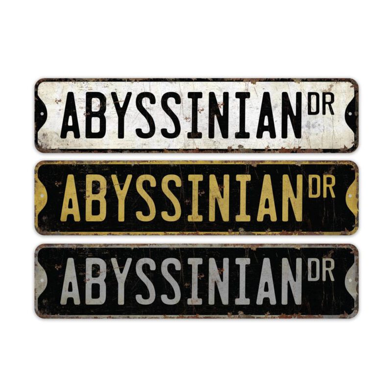 Abyssinian-Cat-Premium-Quality-Rustic-Metal-Sign-2