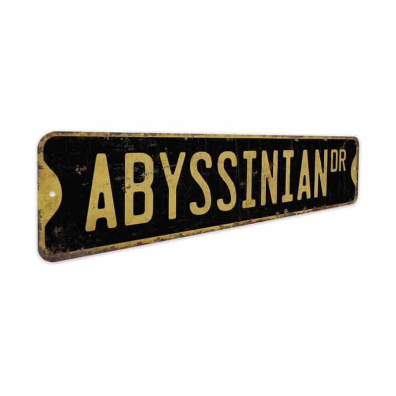 Abyssinian-Cat-Premium-Quality-Rustic-Metal-Sign-5