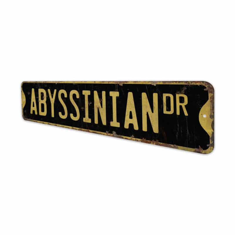 Abyssinian-Cat-Premium-Quality-Rustic-Metal-Sign-6