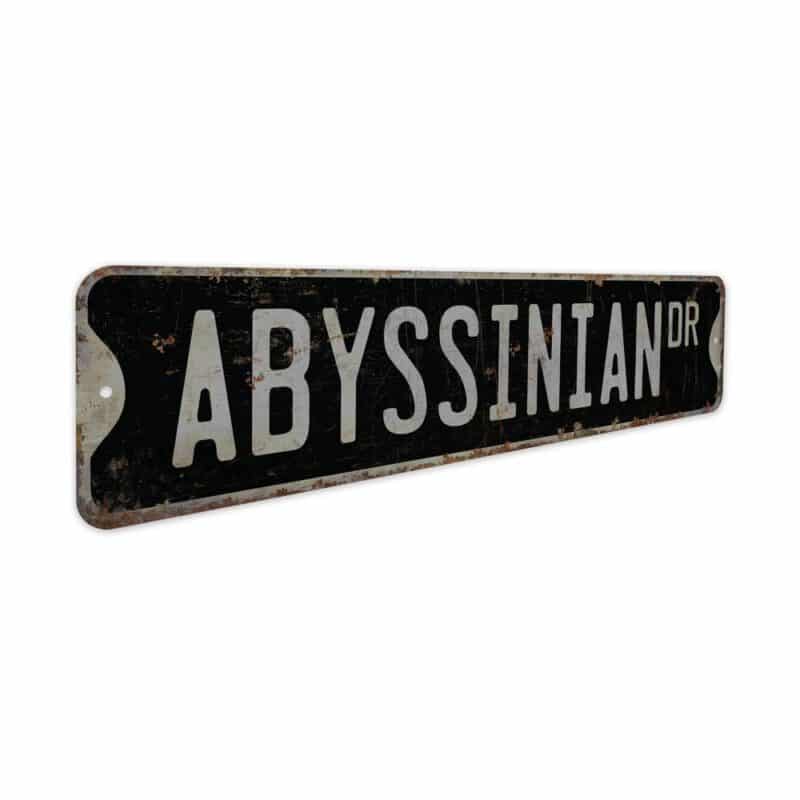 Abyssinian-Cat-Premium-Quality-Rustic-Metal-Sign-7