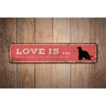 Afghan-Hound-Sign-Premium-Quality-Rustic-Metal-Sign-Images