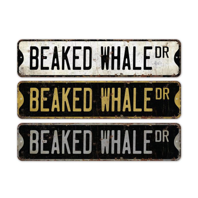 Beaked-Whale-Premium-Quality-Rustic-Metal-Sign-2