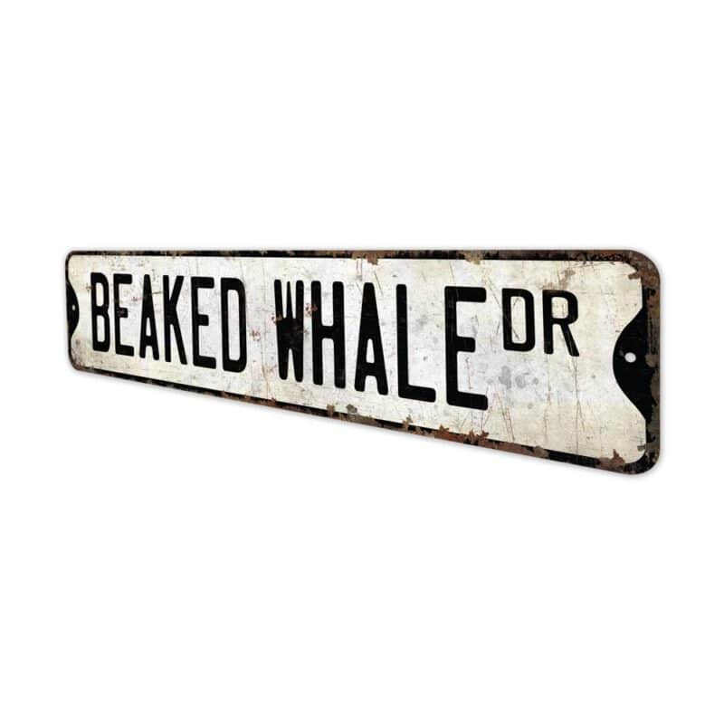 Beaked-Whale-Premium-Quality-Rustic-Metal-Sign-4