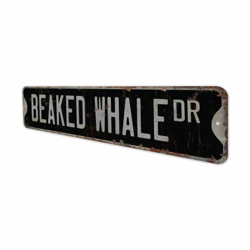 Beaked-Whale-Premium-Quality-Rustic-Metal-Sign-8