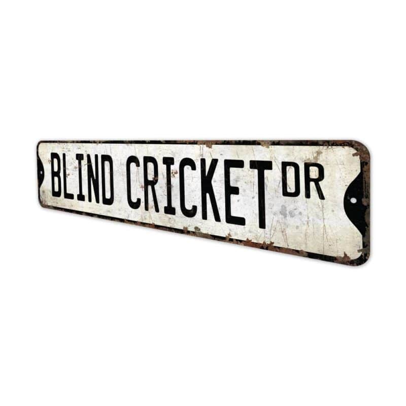 Blind-Cricket-Premium-Quality-Rustic-Metal-Sign-4