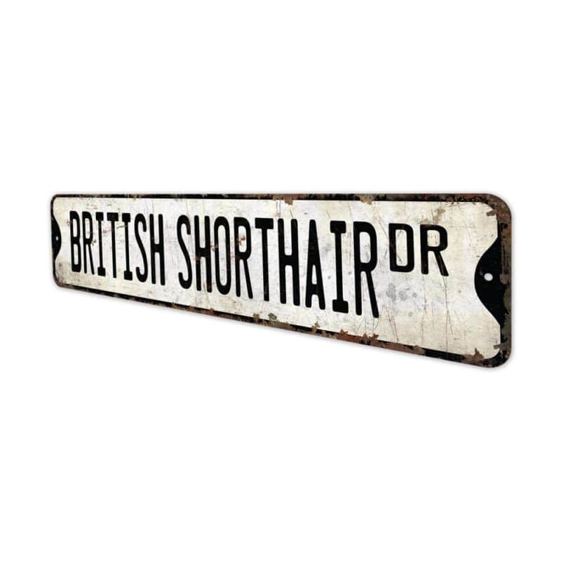 British-Shorthair-Premium-Quality-Rustic-Metal-Sign-4