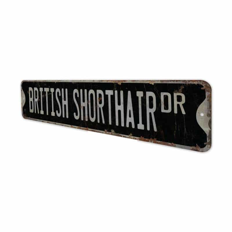 British-Shorthair-Premium-Quality-Rustic-Metal-Sign-8