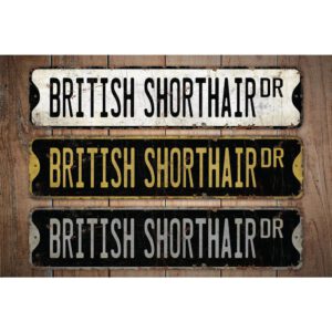 British-Shorthair-Premium-Quality-Rustic-Metal-Sign-Images