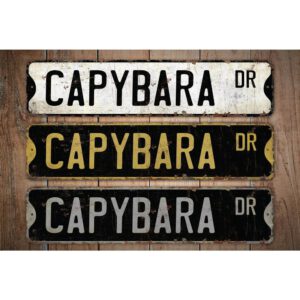 Capybara-Premium-Quality-Rustic-Metal-Sign-Images