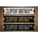 Colorpoint-Shorthair-Premium-Quality-Rustic-Metal-Sign-Images