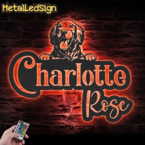 Custom-Name-Letter-Metal-Wall-Art-LED-Light-3-9.jpg