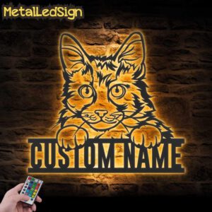 Custom-Peeking-American-Bobtail-Cat-Metal-Wall-Art-LED-Light-Images