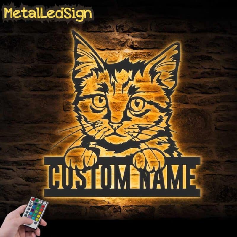 Custom-Peeking-European-Short-Hair-Cat-Metal-Wall-Art-LED-Light-Images