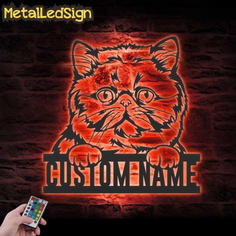 Custom-Peeking-Exotic-Short-Hair-Cat-Metal-Wall-Art-LED-Light-5