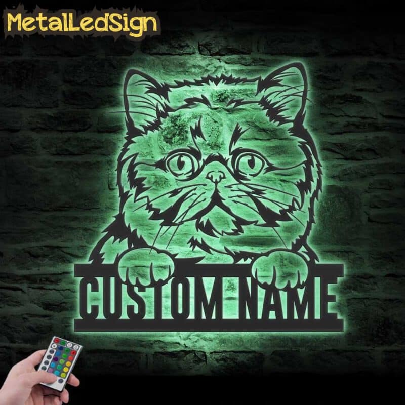 Custom-Peeking-Exotic-Short-Hair-Cat-Metal-Wall-Art-LED-Light-7