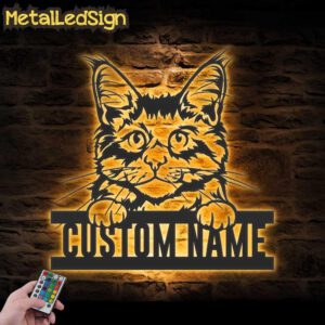 Custom-Peeking-Maine-Coon-Cat-Metal-Wall-Art-LED-Light-Images