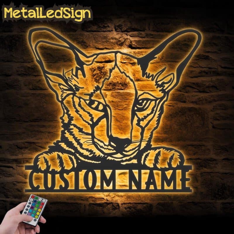 Custom-Peeking-Siamese-Cat-Metal-Wall-Art-LED-Light-Images-1