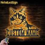 Custom-Peeking-Snowshoe-Cat-Metal-Wall-Art-LED-Light-Images