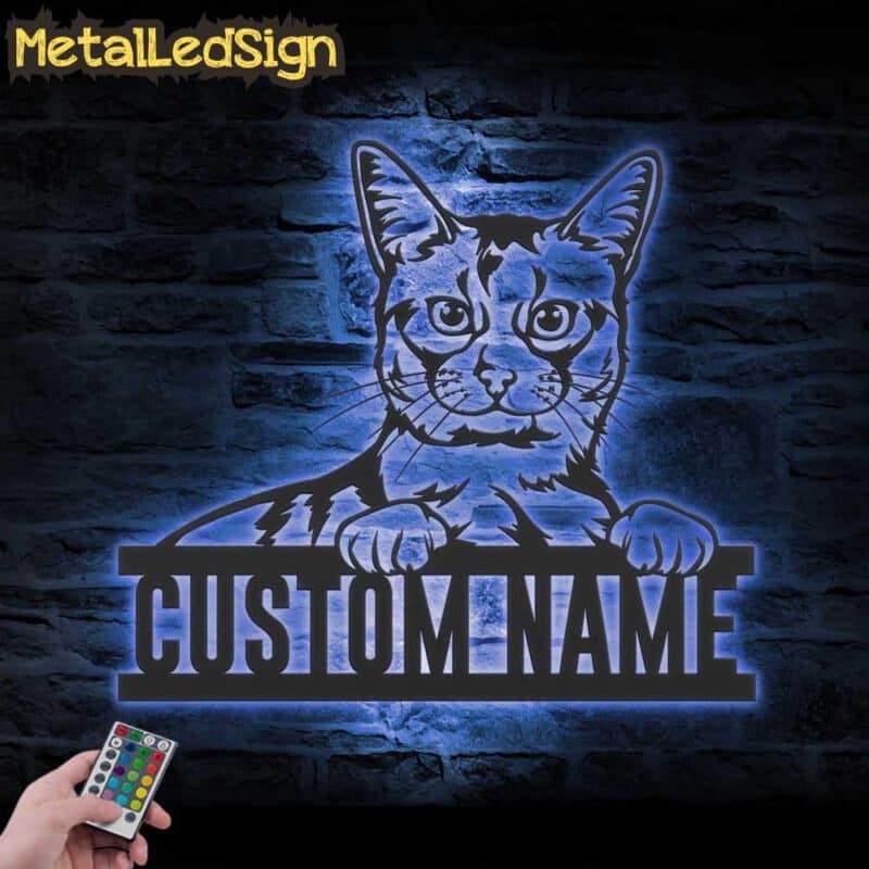 Custom-Peeking-Somali-Cat-Metal-Wall-Art-LED-Light-3