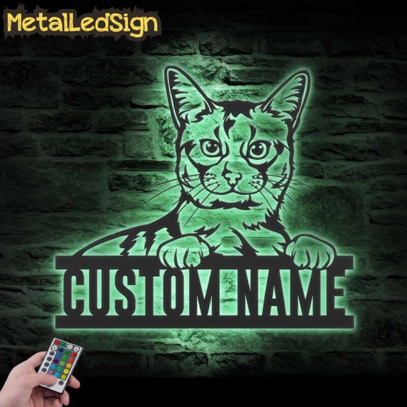 Custom-Peeking-Somali-Cat-Metal-Wall-Art-LED-Light-7