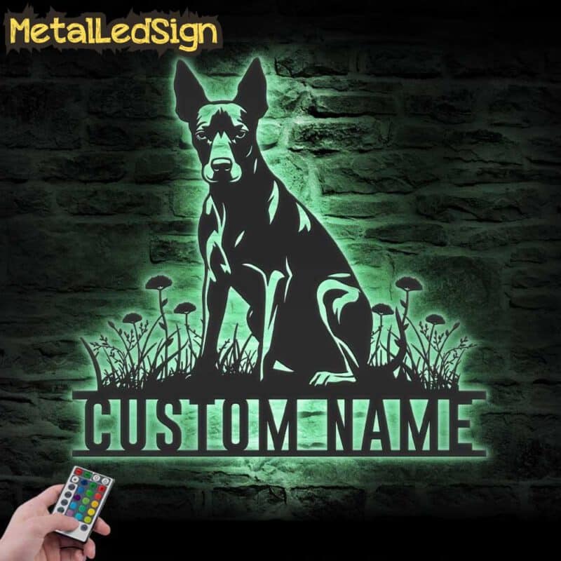 Custom-Xoloitzcuintli-Metal-Wall-Art-LED-Light-5.jpg