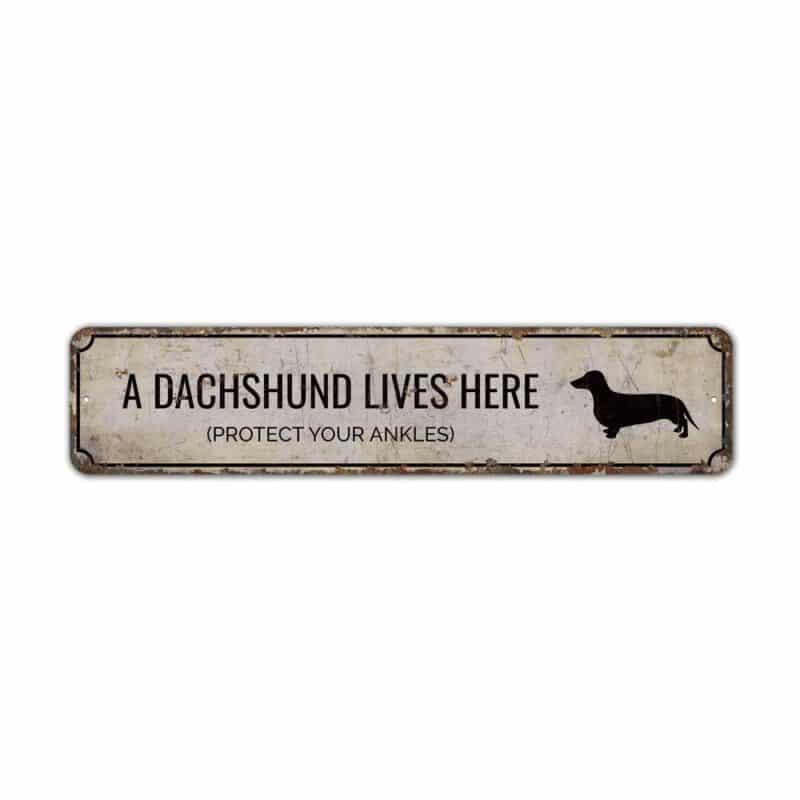 Dachshund-Lives-Here-Premium-Quality-Rustic-Metal-Sign-2