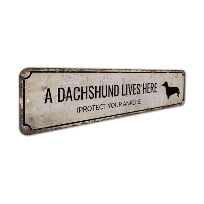 Dachshund-Lives-Here-Premium-Quality-Rustic-Metal-Sign-3