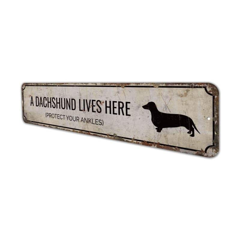 Dachshund-Lives-Here-Premium-Quality-Rustic-Metal-Sign-4