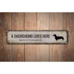 Dachshund-Lives-Here-Premium-Quality-Rustic-Metal-Sign-Images