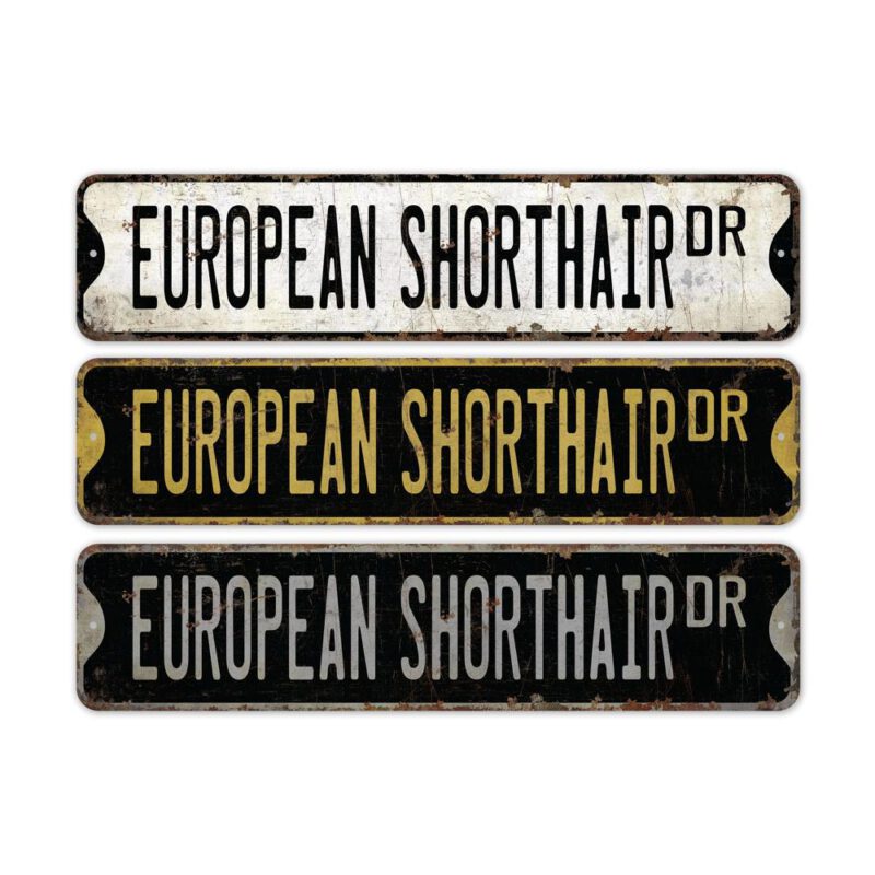 European-Shorthair-Premium-Quality-Rustic-Metal-Sign-2