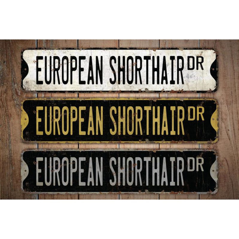 European-Shorthair-Premium-Quality-Rustic-Metal-Sign-Images