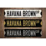 Havana-Brown-Cat-Premium-Quality-Rustic-Metal-Sign-Images