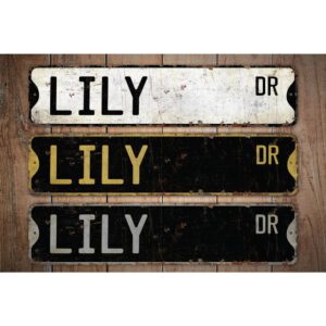 Lily-Name-Sign-Premium-Quality-Rustic-Metal-Sign-Images