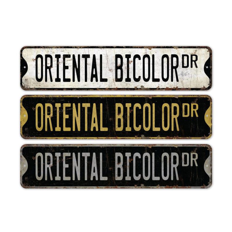 Oriental-Bicolor-Premium-Quality-Rustic-Metal-Sign-2