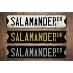 Salamander-Premium-Quality-Rustic-Metal-Sign-Images